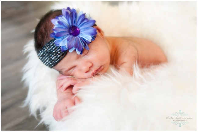 Saskatoon Newborn Photographer