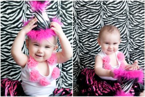 Pink Zebra Theme Party