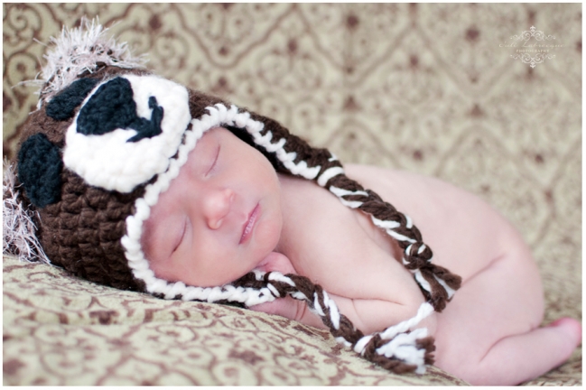 Newborn Photo session