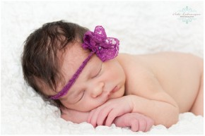 Newborn Photography