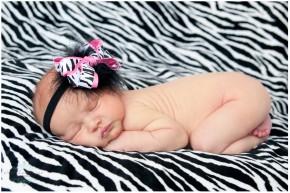 Newborn Photo