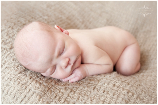 Newborn Session