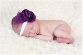 newborn session Saskatoon